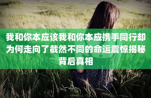 我和你本应该我和你本应携手同行却为何走向了截然不同的命运震惊揭秘背后真相