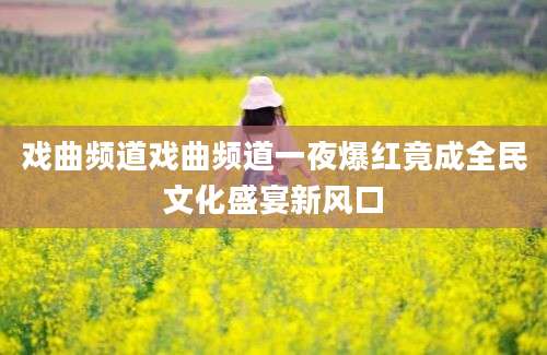 戏曲频道戏曲频道一夜爆红竟成全民文化盛宴新风口