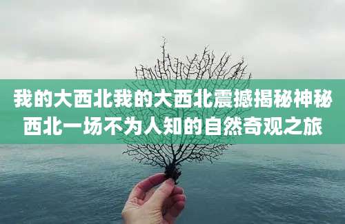 我的大西北我的大西北震撼揭秘神秘西北一场不为人知的自然奇观之旅