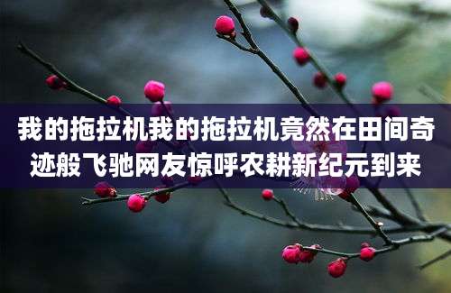 我的拖拉机我的拖拉机竟然在田间奇迹般飞驰网友惊呼农耕新纪元到来