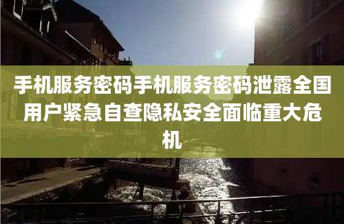 手机服务密码手机服务密码泄露全国用户紧急自查隐私安全面临重大危机