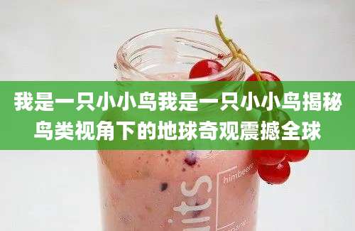 我是一只小小鸟我是一只小小鸟揭秘鸟类视角下的地球奇观震撼全球