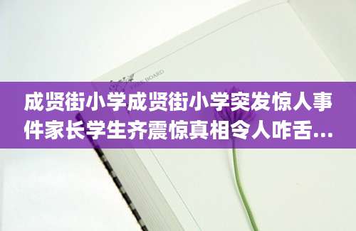 成贤街小学成贤街小学突发惊人事件家长学生齐震惊真相令人咋舌...