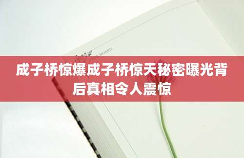 成子桥惊爆成子桥惊天秘密曝光背后真相令人震惊