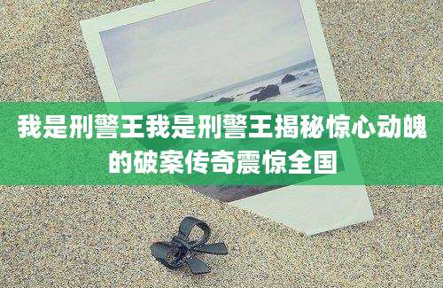 我是刑警王我是刑警王揭秘惊心动魄的破案传奇震惊全国