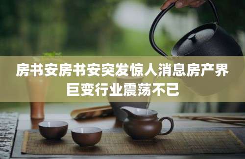 房书安房书安突发惊人消息房产界巨变行业震荡不已