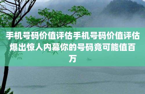 手机号码价值评估手机号码价值评估爆出惊人内幕你的号码竟可能值百万