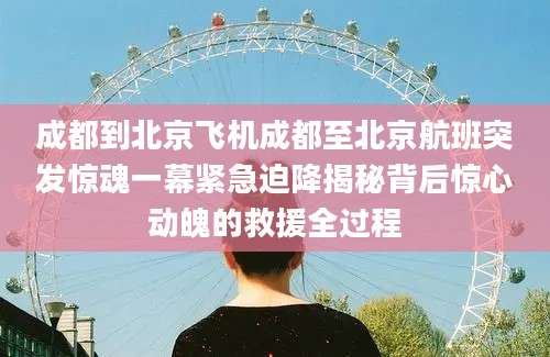 成都到北京飞机成都至北京航班突发惊魂一幕紧急迫降揭秘背后惊心动魄的救援全过程