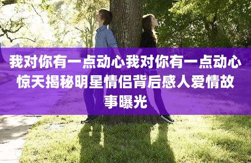 我对你有一点动心我对你有一点动心惊天揭秘明星情侣背后感人爱情故事曝光