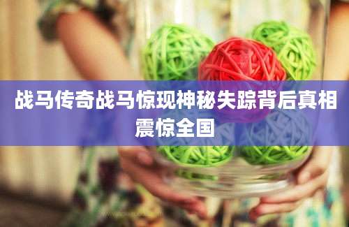 战马传奇战马惊现神秘失踪背后真相震惊全国