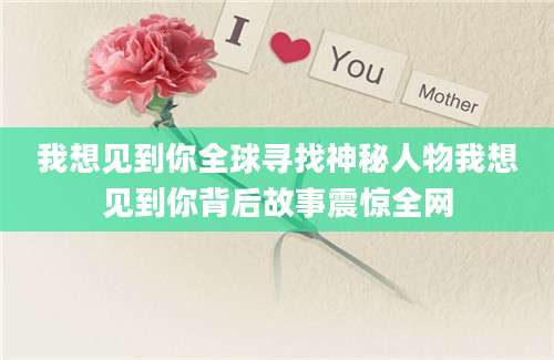 我想见到你全球寻找神秘人物我想见到你背后故事震惊全网