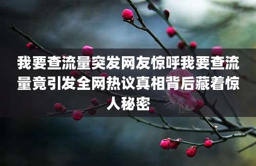 我要查流量突发网友惊呼我要查流量竟引发全网热议真相背后藏着惊人秘密