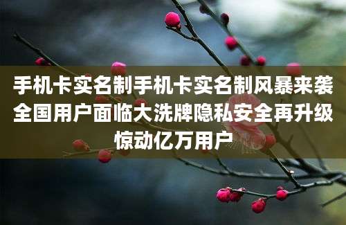 手机卡实名制手机卡实名制风暴来袭全国用户面临大洗牌隐私安全再升级惊动亿万用户