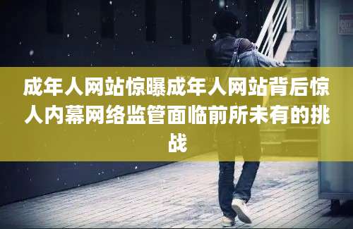 成年人网站惊曝成年人网站背后惊人内幕网络监管面临前所未有的挑战