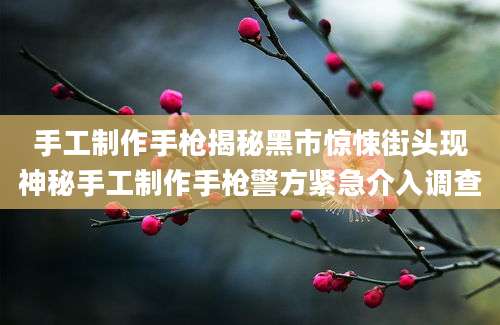 手工制作手枪揭秘黑市惊悚街头现神秘手工制作手枪警方紧急介入调查