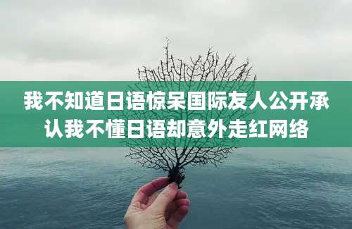 我不知道日语惊呆国际友人公开承认我不懂日语却意外走红网络