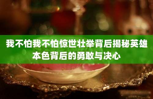 我不怕我不怕惊世壮举背后揭秘英雄本色背后的勇敢与决心