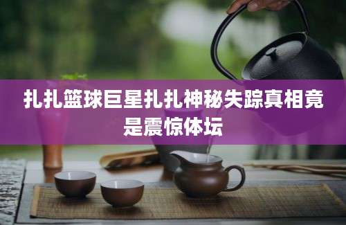 扎扎篮球巨星扎扎神秘失踪真相竟是震惊体坛