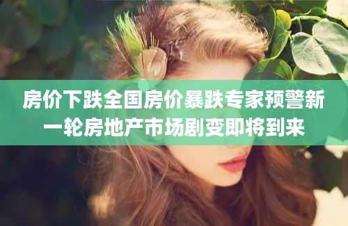 房价下跌全国房价暴跌专家预警新一轮房地产市场剧变即将到来