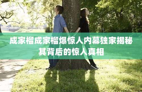 成家榴成家榴爆惊人内幕独家揭秘其背后的惊人真相
