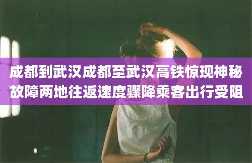 成都到武汉成都至武汉高铁惊现神秘故障两地往返速度骤降乘客出行受阻