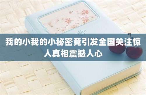 我的小我的小秘密竟引发全国关注惊人真相震撼人心