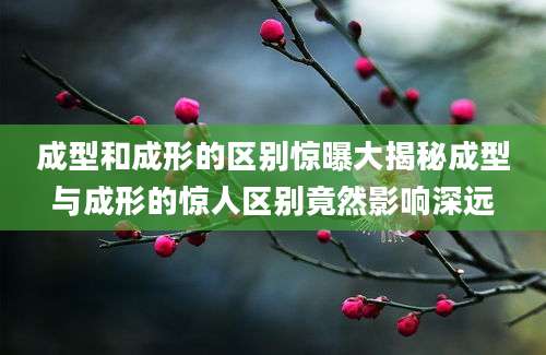 成型和成形的区别惊曝大揭秘成型与成形的惊人区别竟然影响深远