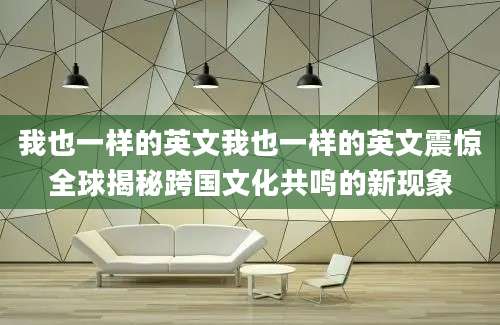 我也一样的英文我也一样的英文震惊全球揭秘跨国文化共鸣的新现象