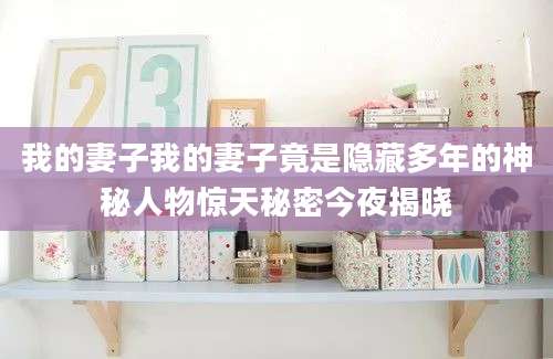 我的妻子我的妻子竟是隐藏多年的神秘人物惊天秘密今夜揭晓