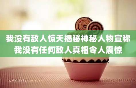 我没有敌人惊天揭秘神秘人物宣称我没有任何敌人真相令人震惊