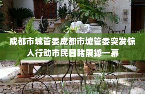 成都市城管委成都市城管委突发惊人行动市民目睹震撼一幕