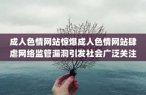 成人色情网站惊爆成人色情网站肆虐网络监管漏洞引发社会广泛关注