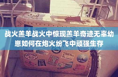 战火羔羊战火中惊现羔羊奇迹无辜幼崽如何在炮火纷飞中顽强生存
