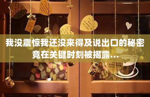 我没震惊我还没来得及说出口的秘密竟在关键时刻被揭露...
