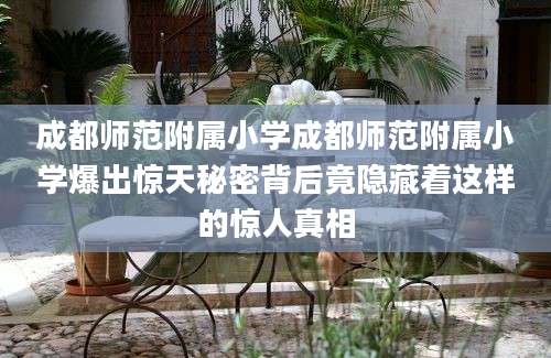 成都师范附属小学成都师范附属小学爆出惊天秘密背后竟隐藏着这样的惊人真相