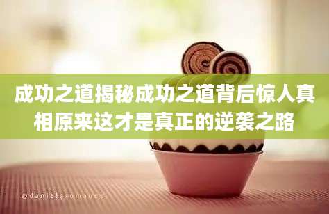成功之道揭秘成功之道背后惊人真相原来这才是真正的逆袭之路