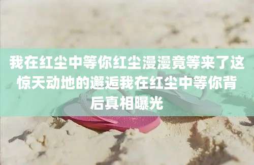 我在红尘中等你红尘漫漫竟等来了这惊天动地的邂逅我在红尘中等你背后真相曝光