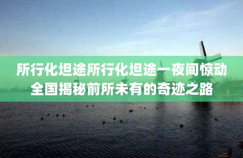 所行化坦途所行化坦途一夜间惊动全国揭秘前所未有的奇迹之路