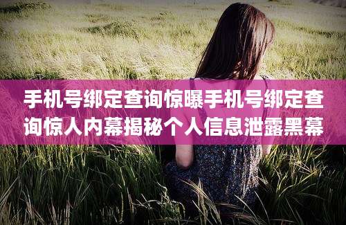 手机号绑定查询惊曝手机号绑定查询惊人内幕揭秘个人信息泄露黑幕