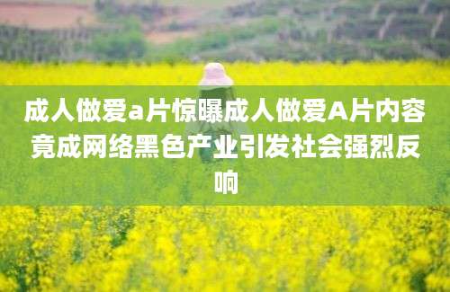 成人做爱a片惊曝成人做爱A片内容竟成网络黑色产业引发社会强烈反响
