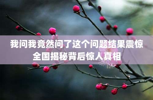 我问我竟然问了这个问题结果震惊全国揭秘背后惊人真相