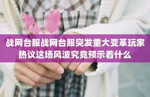 战网台服战网台服突发重大变革玩家热议这场风波究竟预示着什么