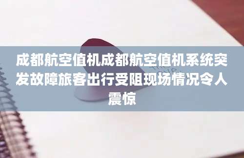 成都航空值机成都航空值机系统突发故障旅客出行受阻现场情况令人震惊