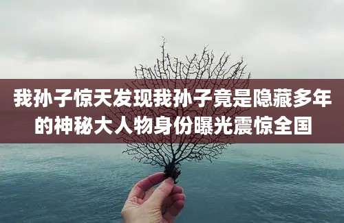 我孙子惊天发现我孙子竟是隐藏多年的神秘大人物身份曝光震惊全国