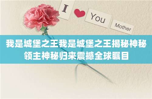 我是城堡之王我是城堡之王揭秘神秘领主神秘归来震撼全球瞩目