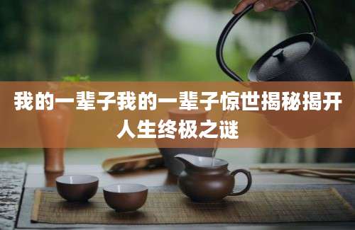 我的一辈子我的一辈子惊世揭秘揭开人生终极之谜