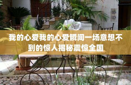 我的心爱我的心爱瞬间一场意想不到的惊人揭秘震惊全国