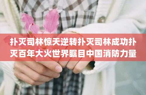 扑灭司林惊天逆转扑灭司林成功扑灭百年大火世界瞩目中国消防力量