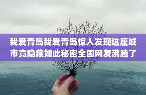 我爱青岛我爱青岛惊人发现这座城市竟隐藏如此秘密全国网友沸腾了