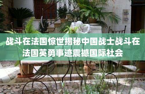 战斗在法国惊世揭秘中国战士战斗在法国英勇事迹震撼国际社会